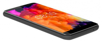 BQ 5004G Fox